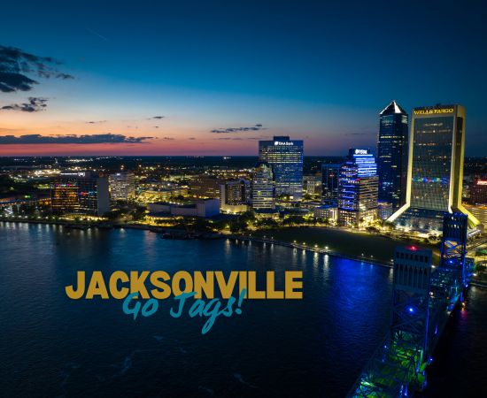 WePlanCruises.com - Jacksonville, FL Travel Advisors